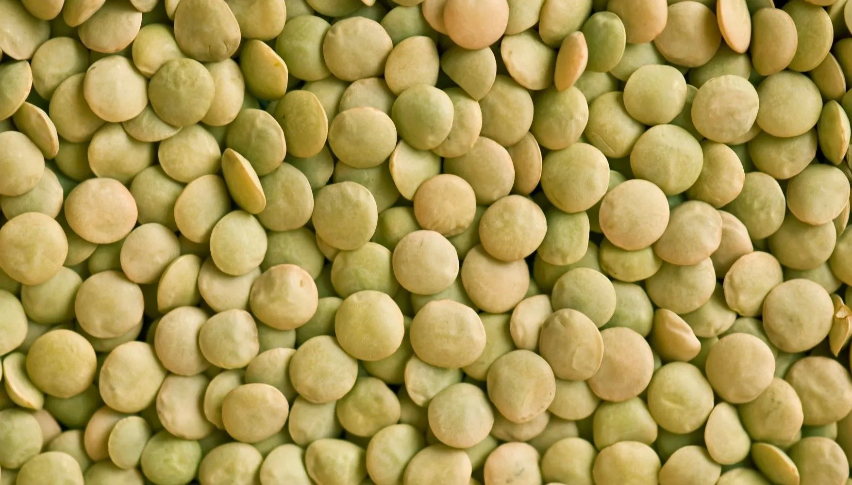Green lentils