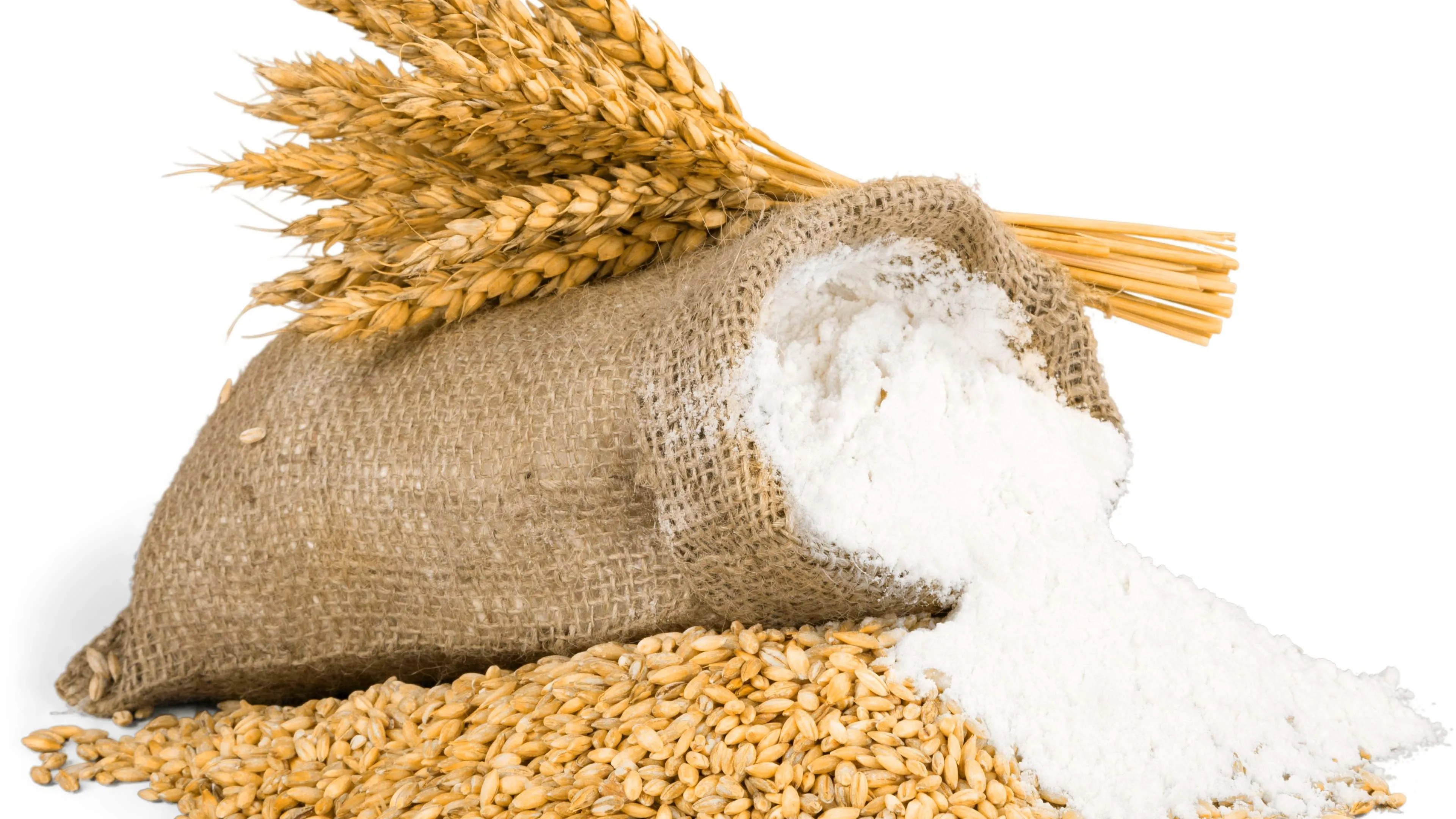 Hard Wheat