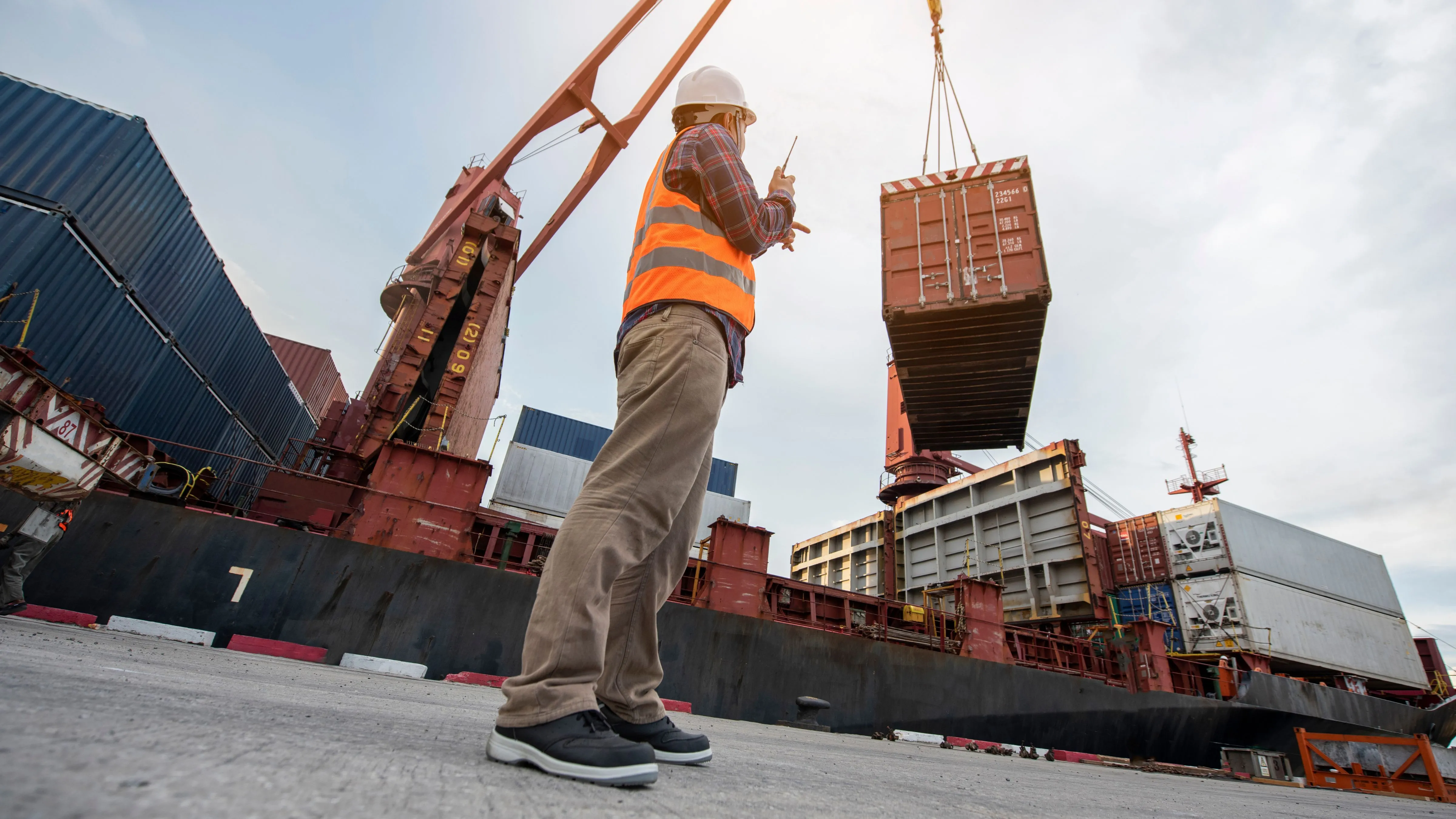 Ocean & Sea Freight Services in the UAE — Zenith Eclipse Co
