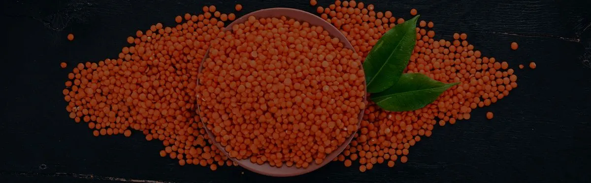 Why a Bulk Red Lentils Supplier is a Chef’s Best Friend?