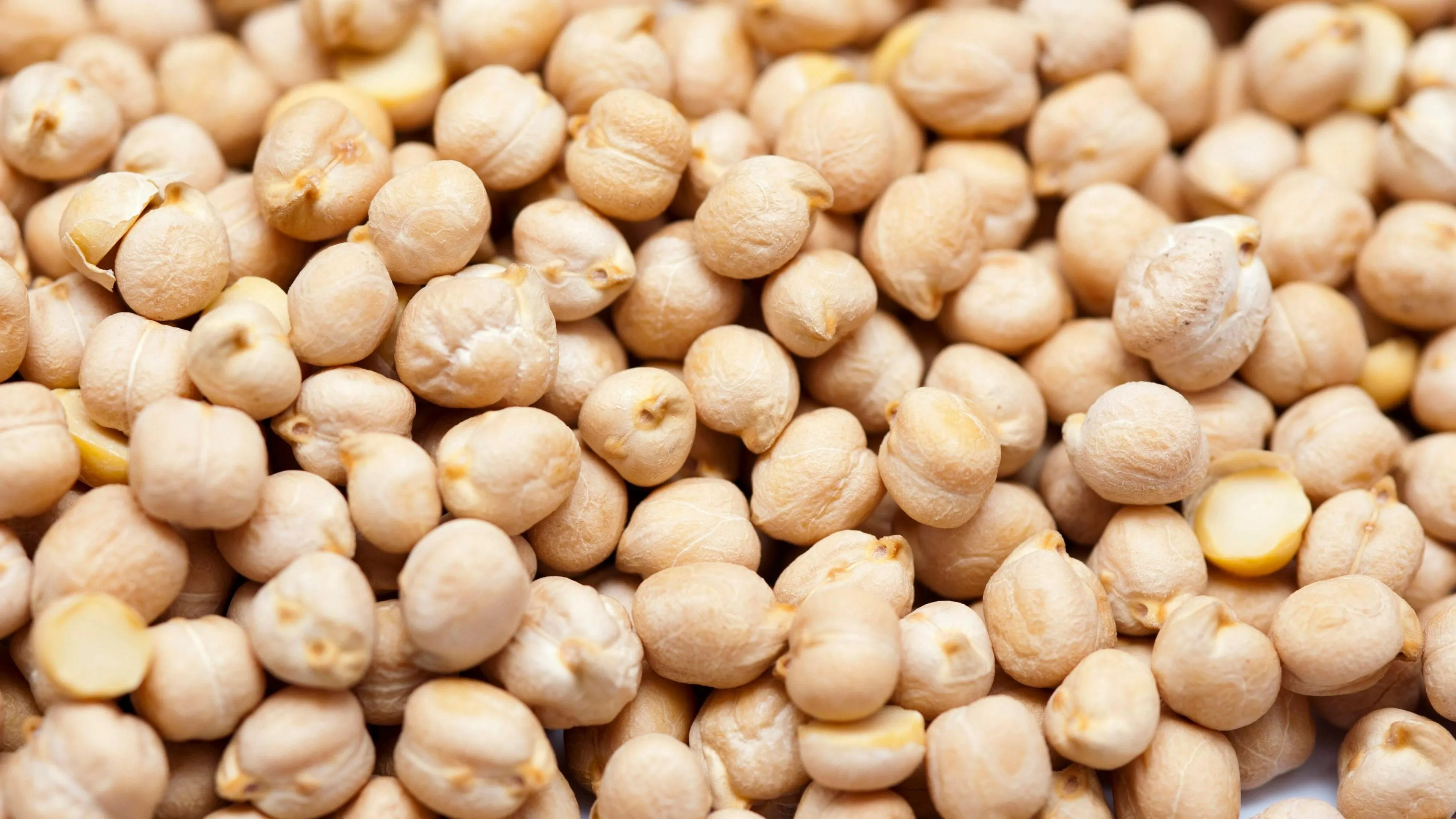 The Complete Buyer’s Guide to Sourcing Chickpeas at Scale