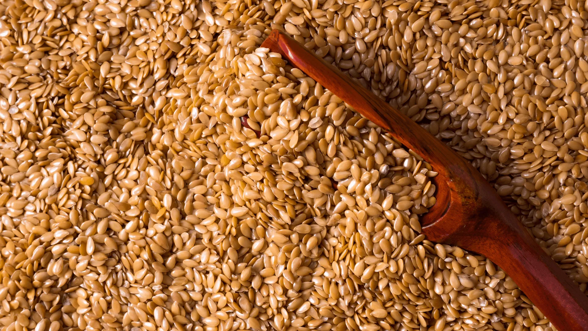 Kazakhstan Flaxseeds
